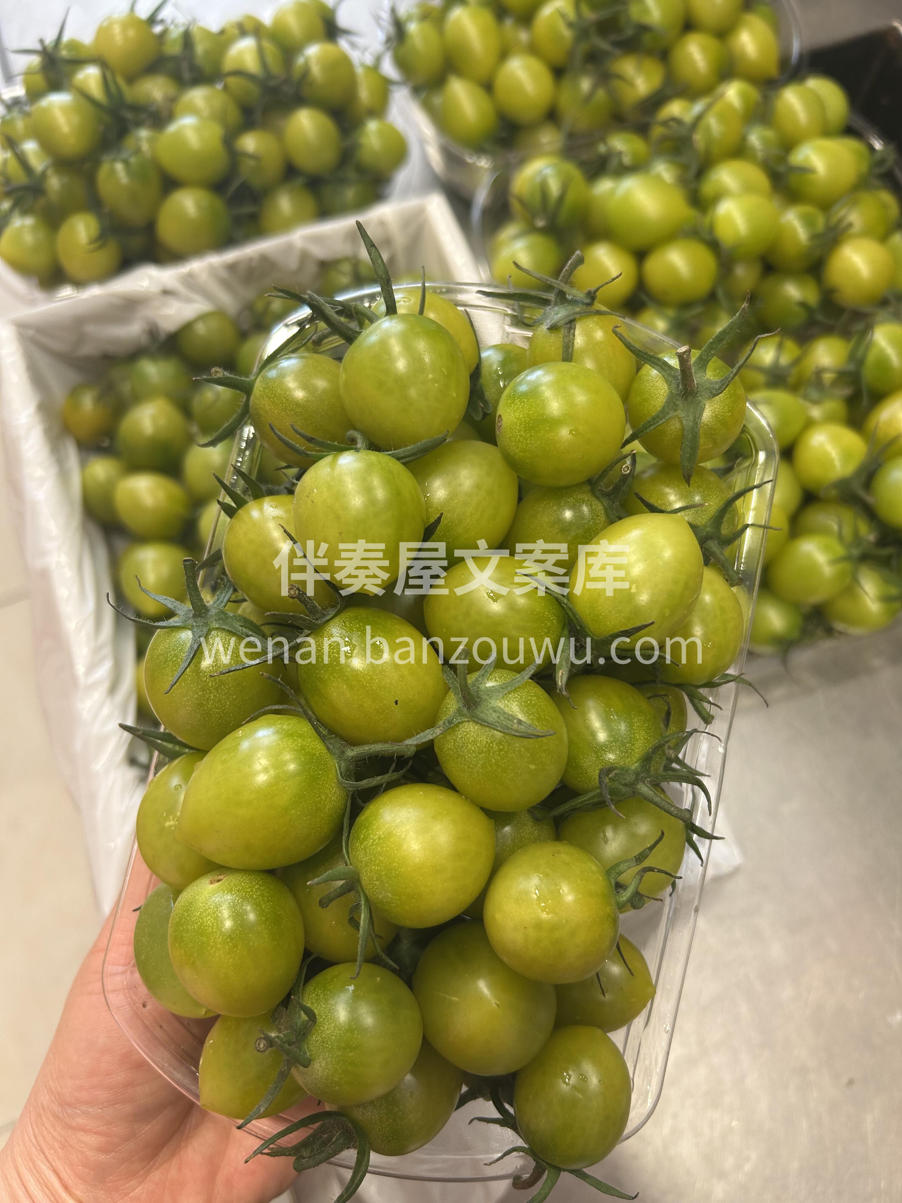 🌿这款青口蜜，完全不用担心涩口的青番茄👍 配图2