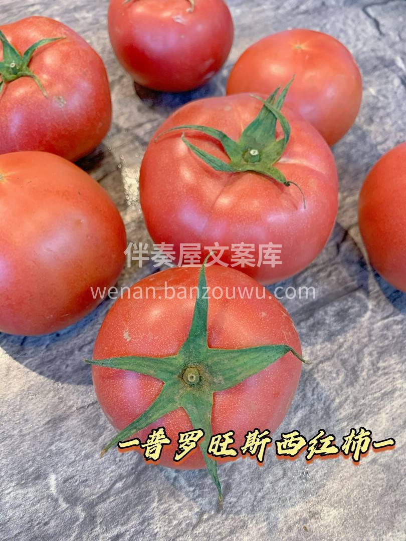 🍅普罗旺斯西红柿🍅 一掰两瓣，沙瓤汁多💦 配图3