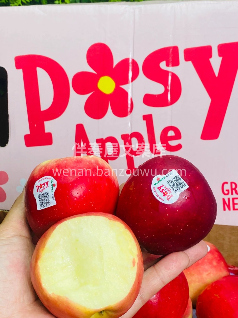 新西兰🇳🇿Posy小花🌸苹果🍎🍎新西兰P 配图2