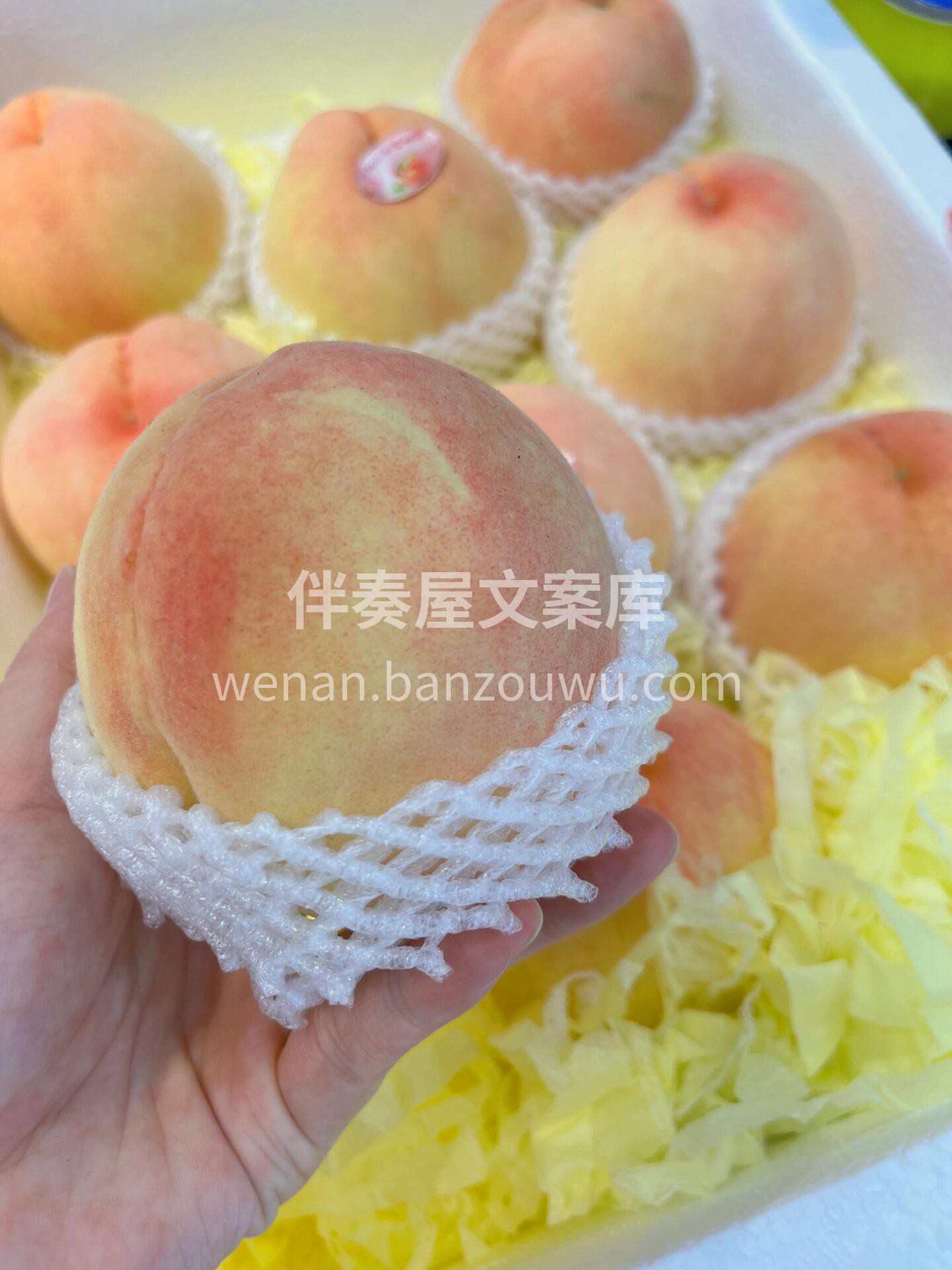来自夏天的浪漫💕 怎么少得了水蜜桃🍑的香 配图2