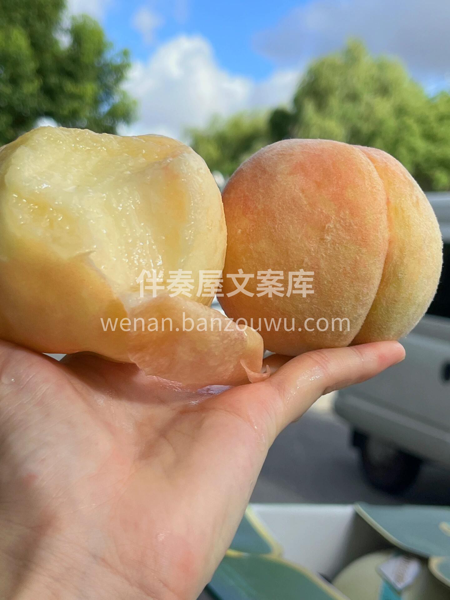 🍑万众期待，满口香甜的水蜜桃来啦！ 🍑真 配图2