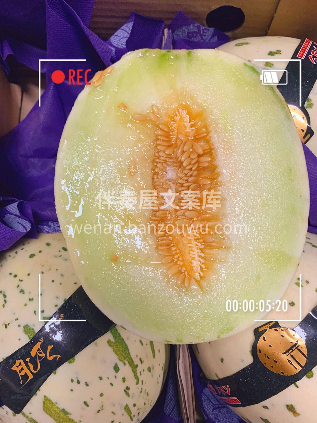 月露蜜瓜拥有小仙女般超高的颜值💅 口感上 配图1