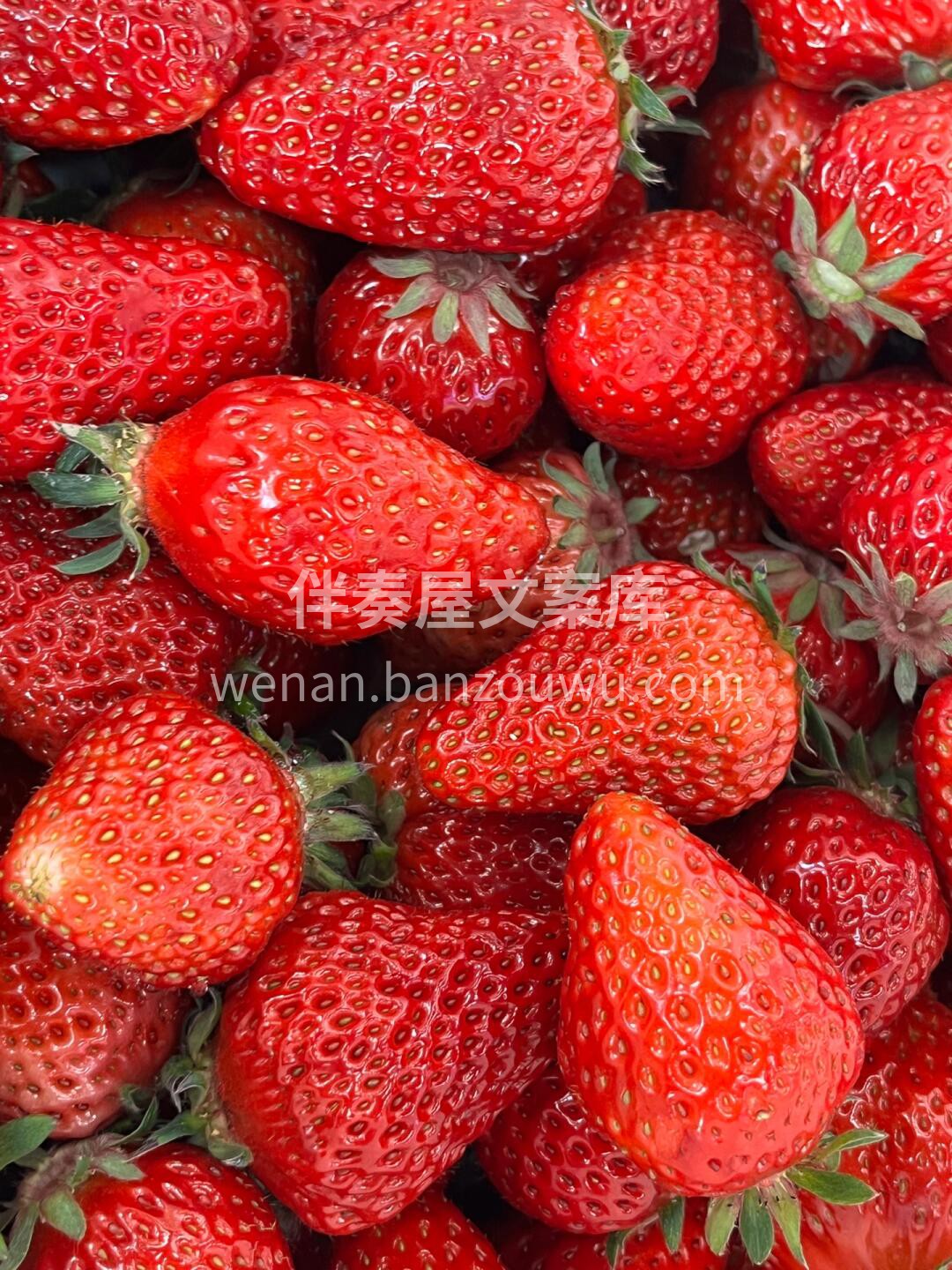 冬天的快乐🙂 丹东红颜草莓（超大果）🍓  配图3