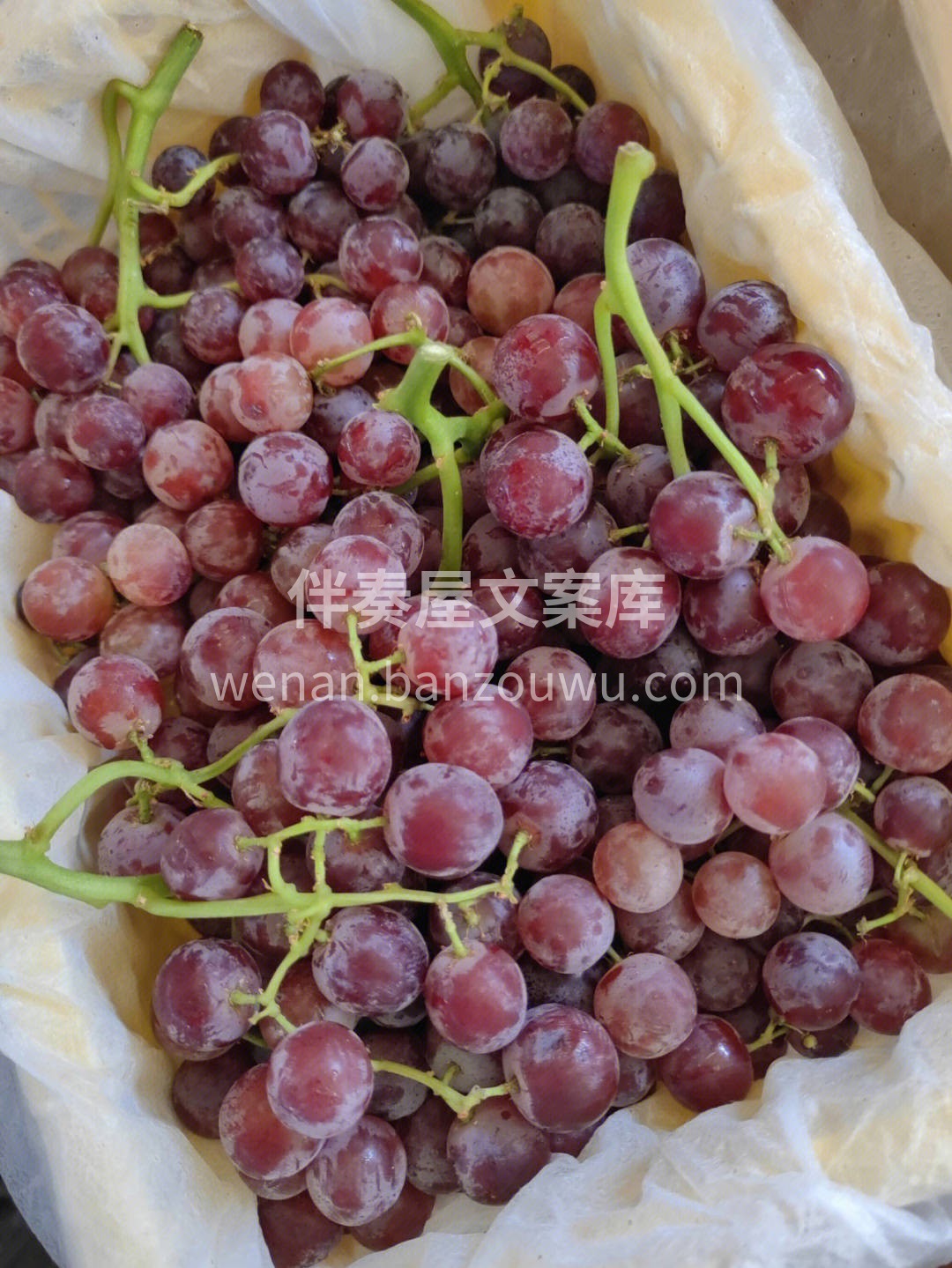 🍇新疆无核红宝石葡萄果皮紫黑色 小小一颗 配图3