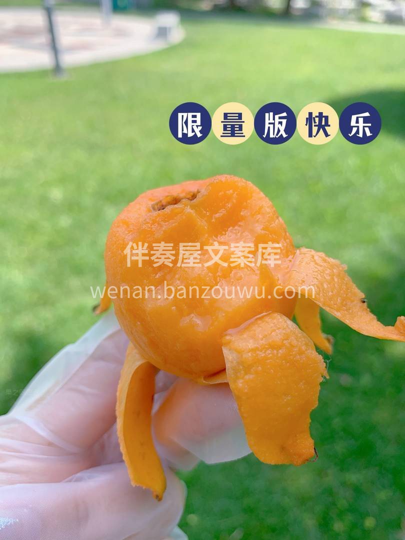 天然护嗓润肺之宝🔱 蒙自五星枇杷果柔软多 配图3
