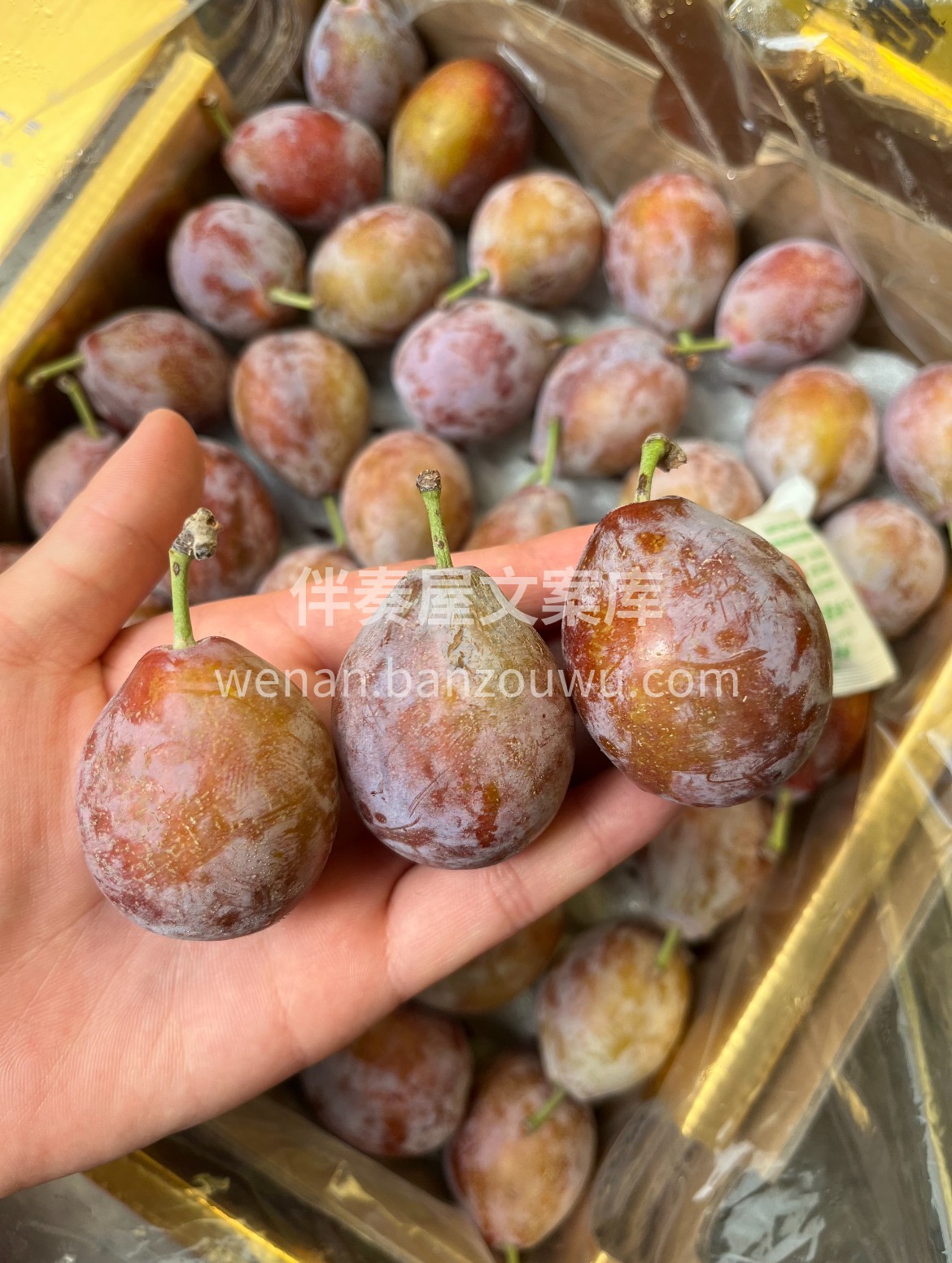 🍭今日推荐西梅 新鲜醇厚的自然味道🍃 ， 配图2