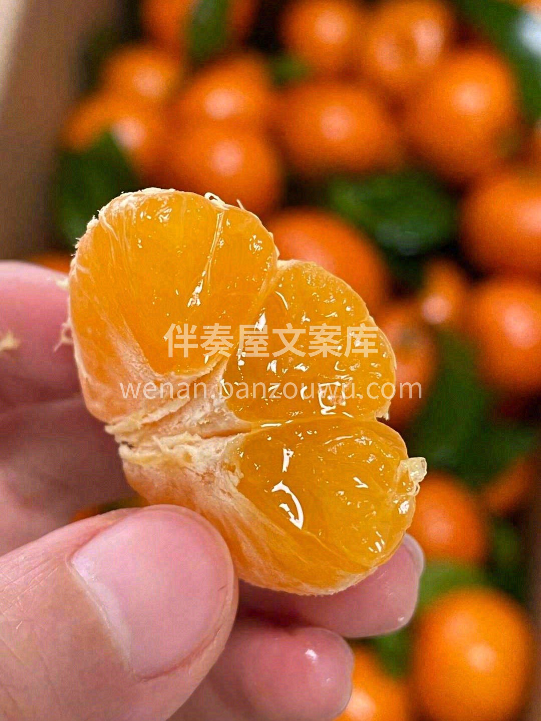 ❤️今日份新鲜水果到店啦！ ☀️生活不在于富足，而在于满足热 配图6