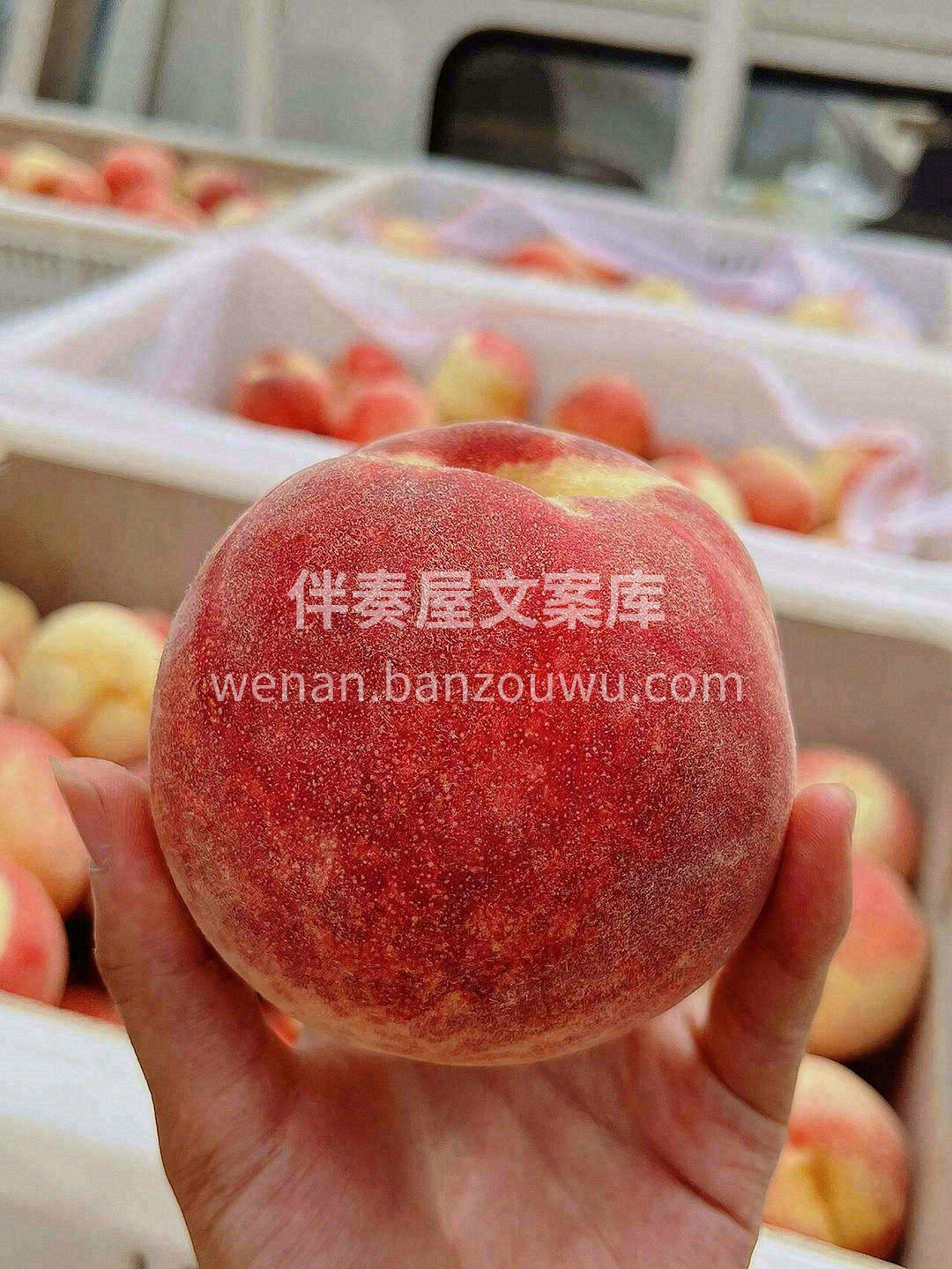 😊白里透红的桃子像刚出生婴儿的皮肤🍑粉嘟 配图2