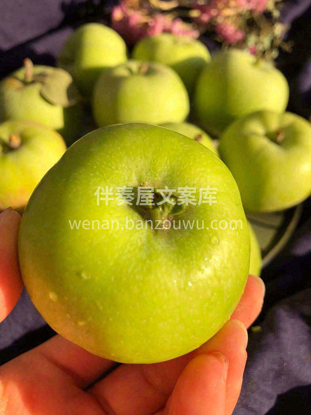 🍏清甜先化在舌尖蔓延至一丝微酸，再由酸回 配图1