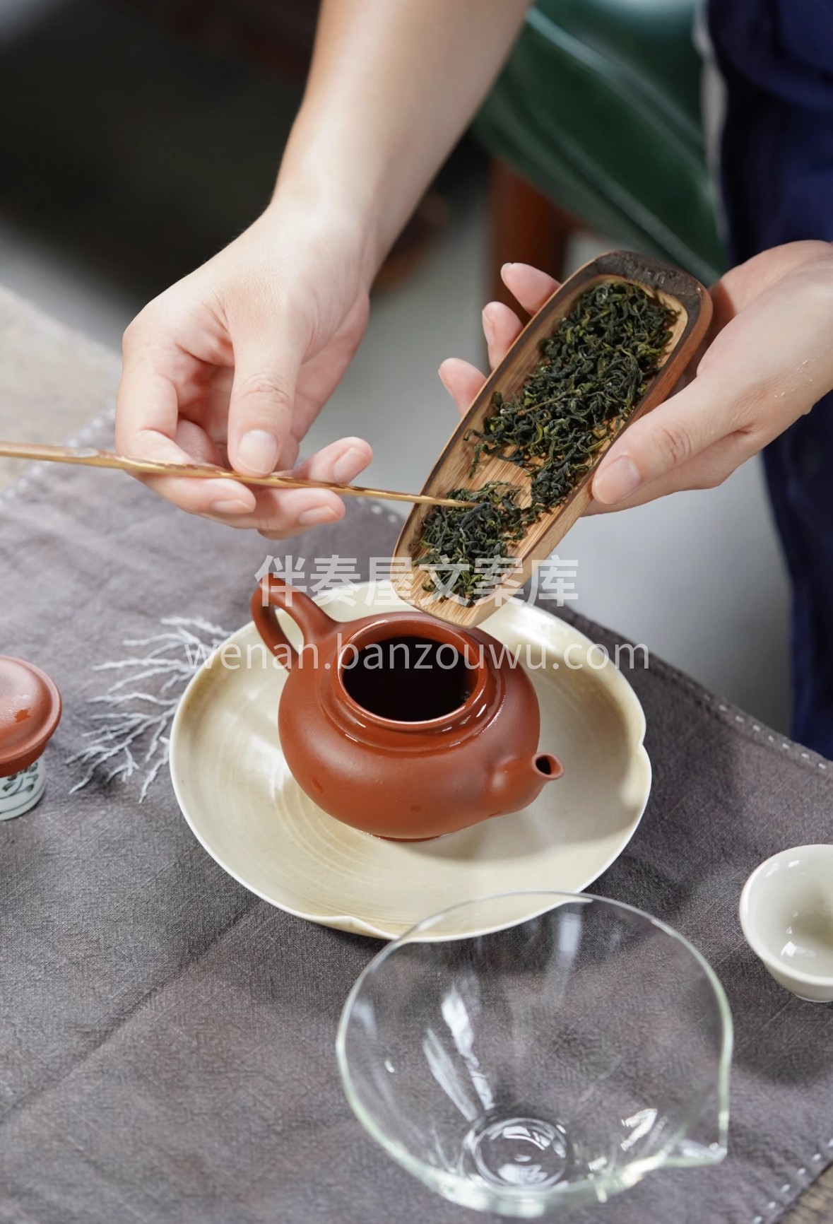 选日照核心产区春茶，每一片都带着北纬35 配图2