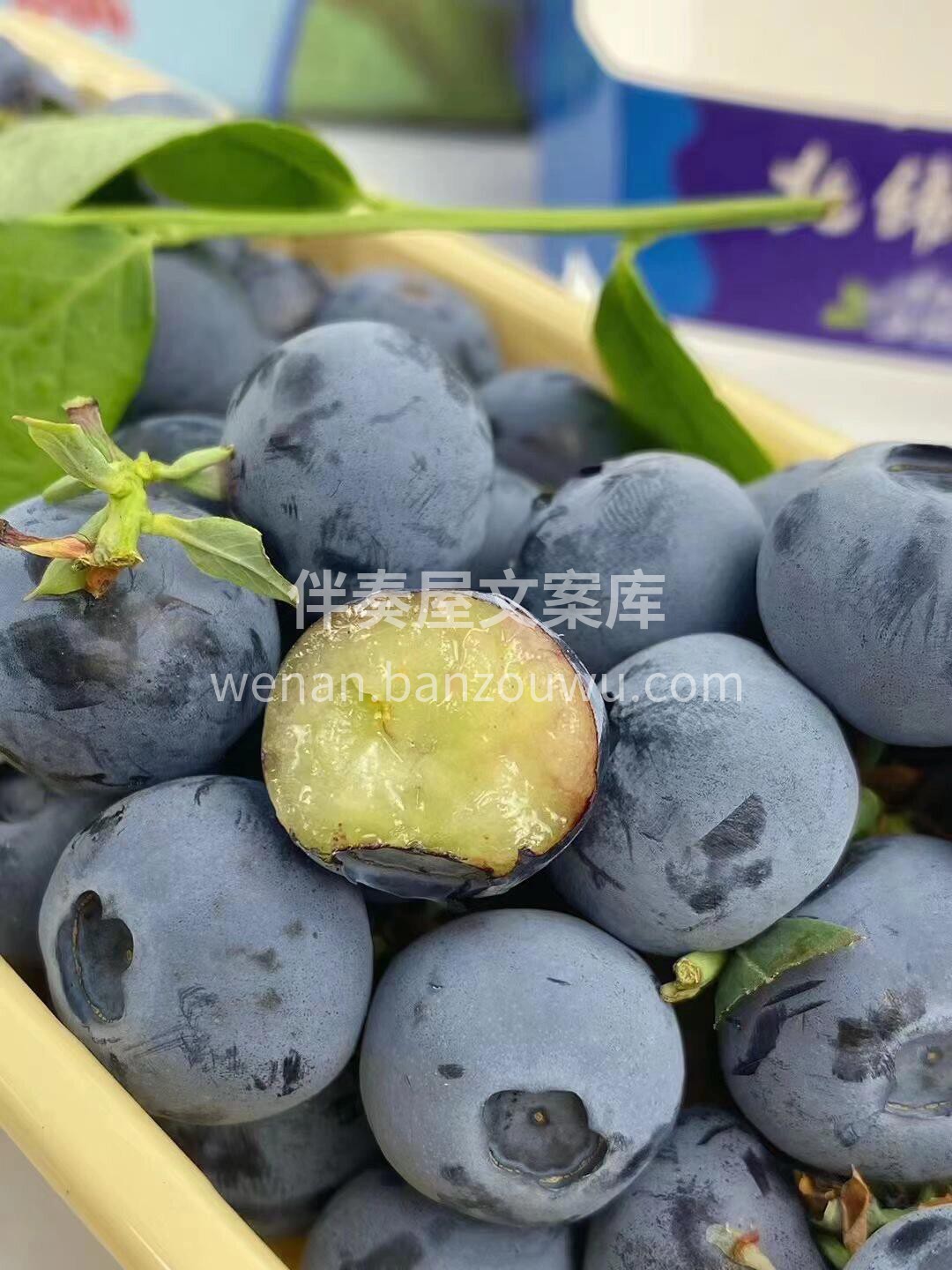 枝冠串蓝莓🫐很惊艳✌️ 纯甜哒，无敌新鲜 配图2
