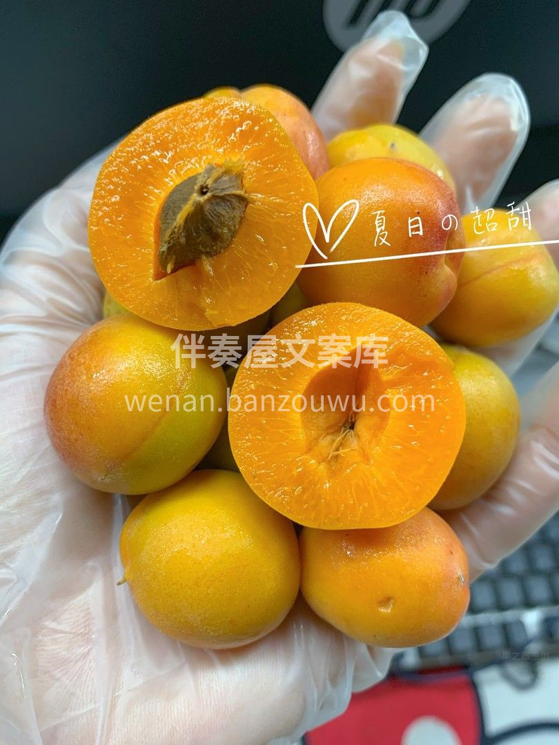 不要与她擦肩而过哦！ 厚实的果肉有高达2 配图1