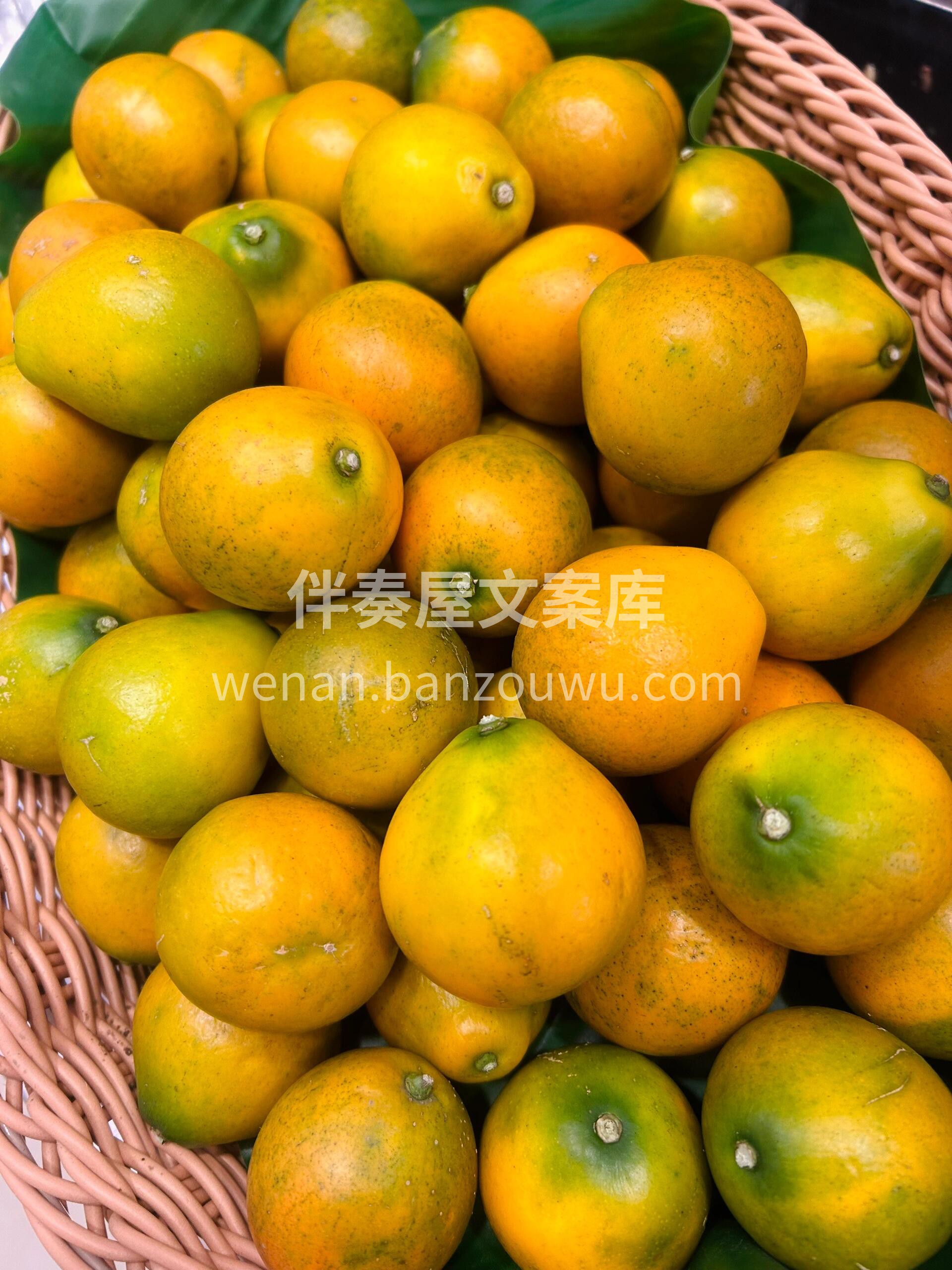 🔥柑橘中的“迈巴赫”🍊 四川大凉山脆蜜金 配图3