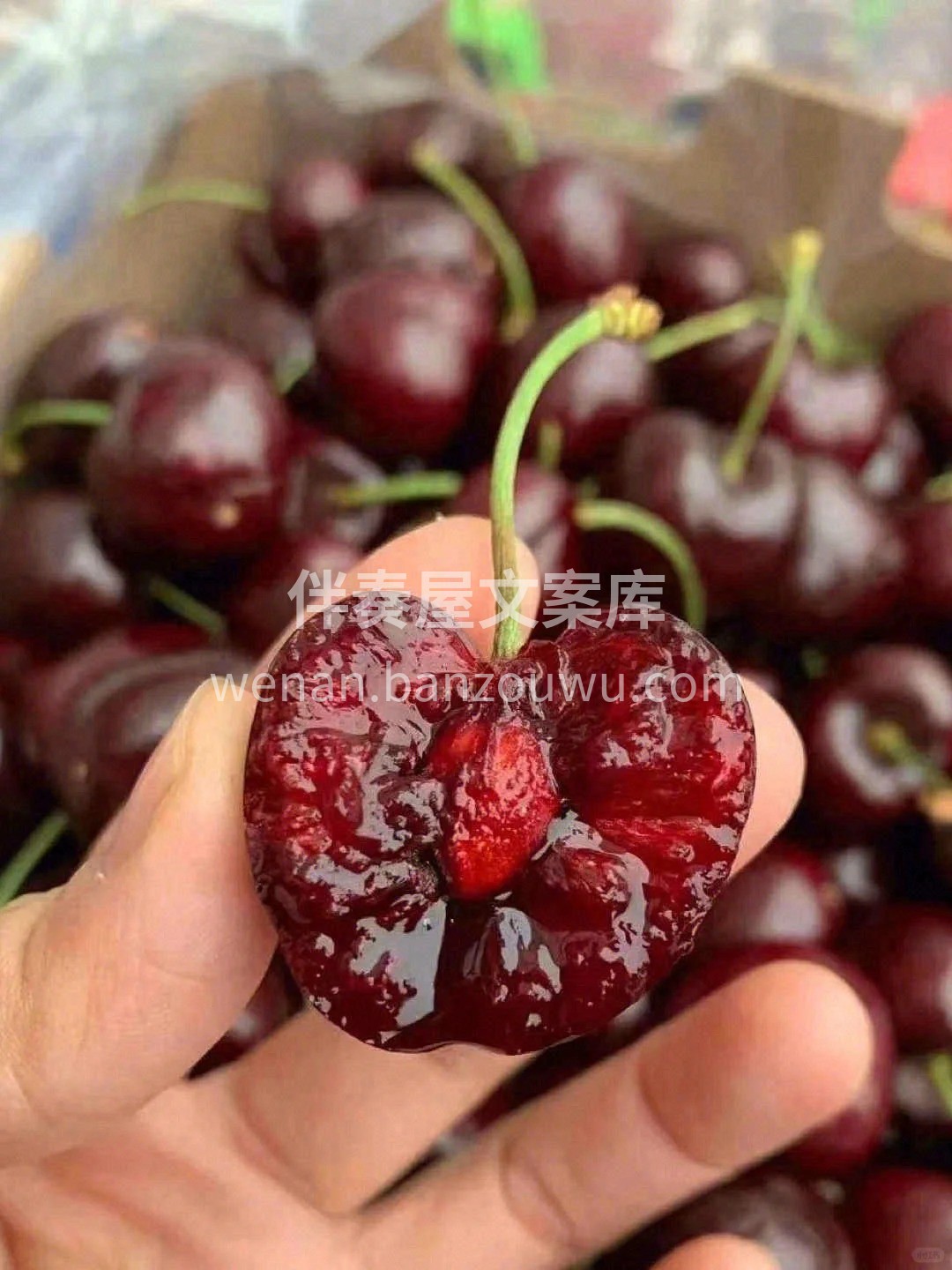 🍒 一定要约这个车厘子‼️ 超级脆甜，不 配图2