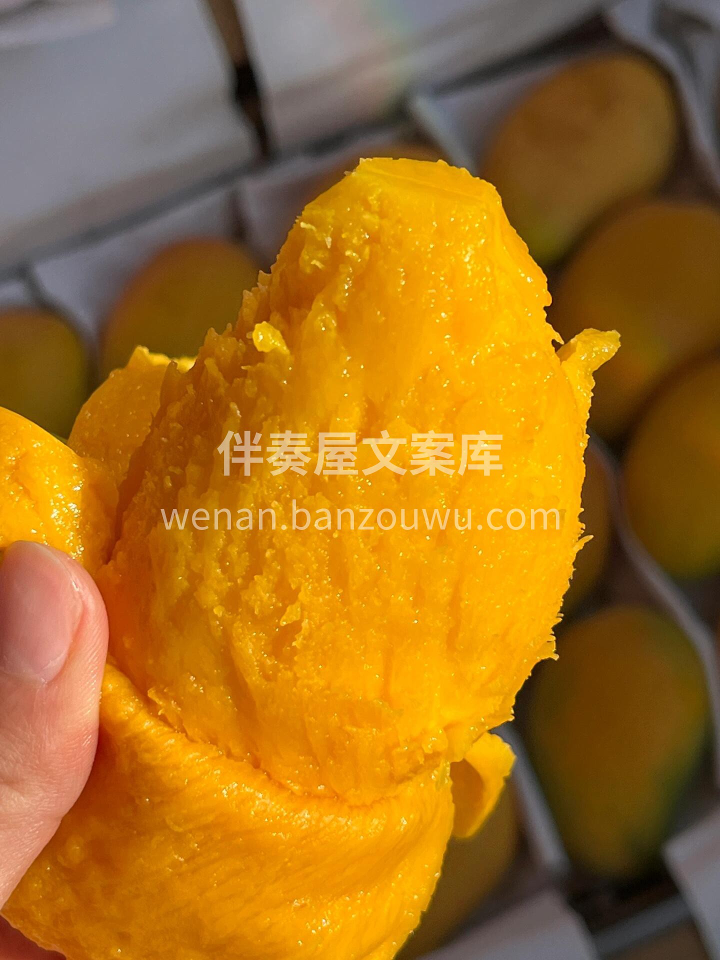 海南小台农🥭芒果属于典型的穿衣显“瘦”， 配图2