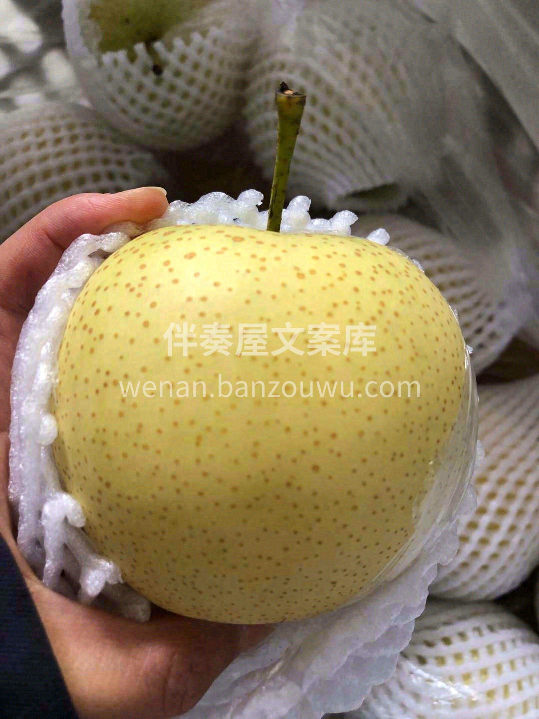 ?洁白如玉的梨肉混合着甜甜的汁水?，瞬间 配图3