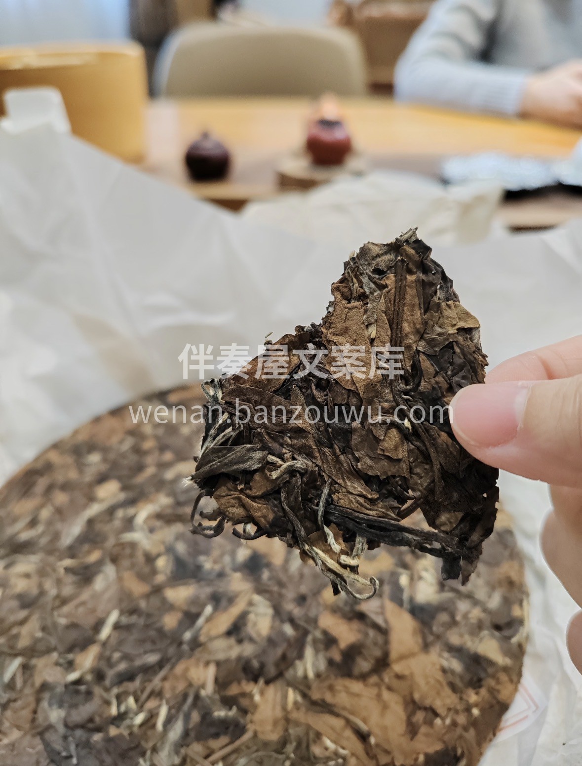 冬天的温暖，是一杯福鼎大白给的。源自核心 配图1