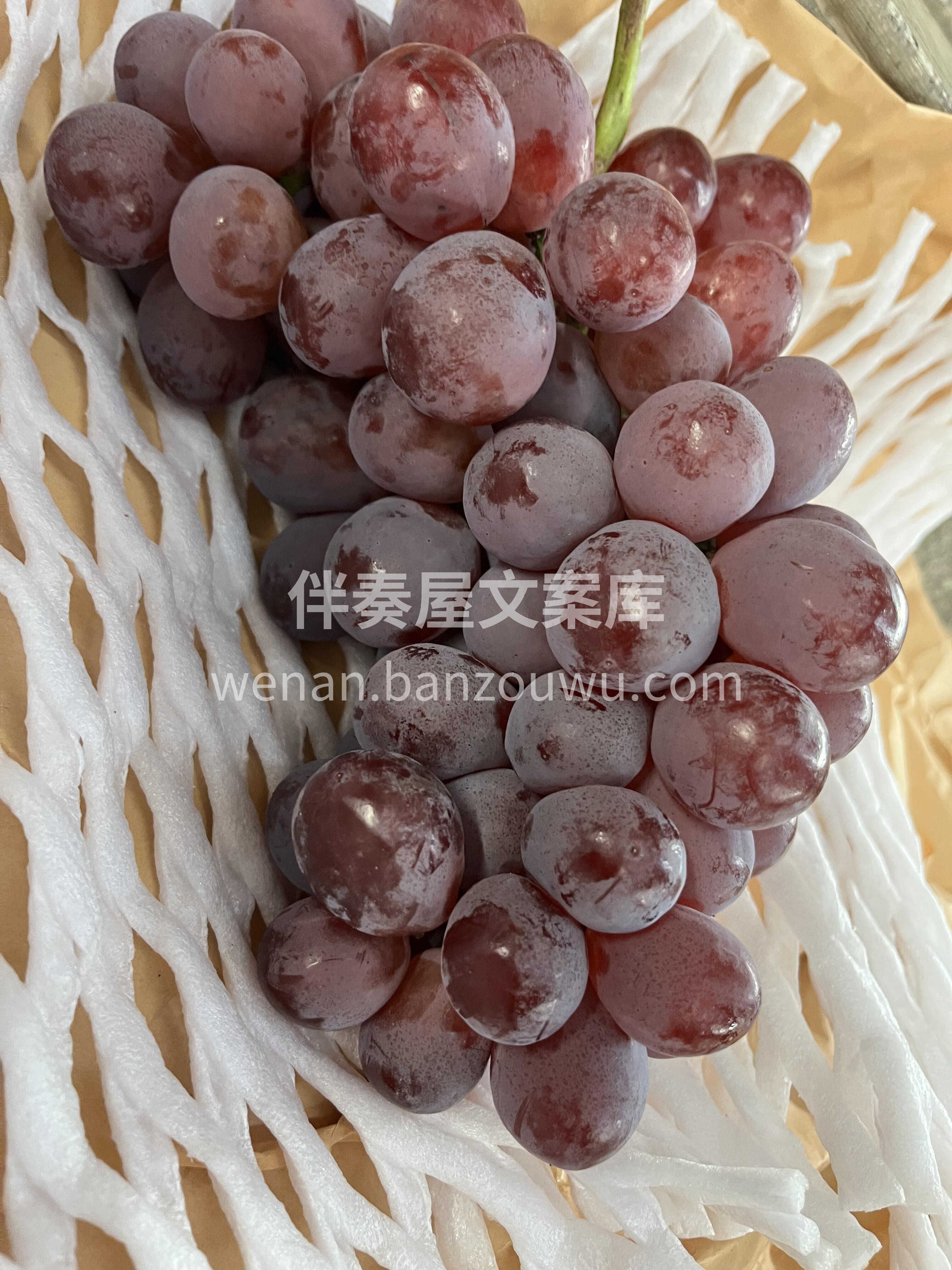 云南高原红提自然成熟🍇 色泽艳丽，颗粒饱 配图3