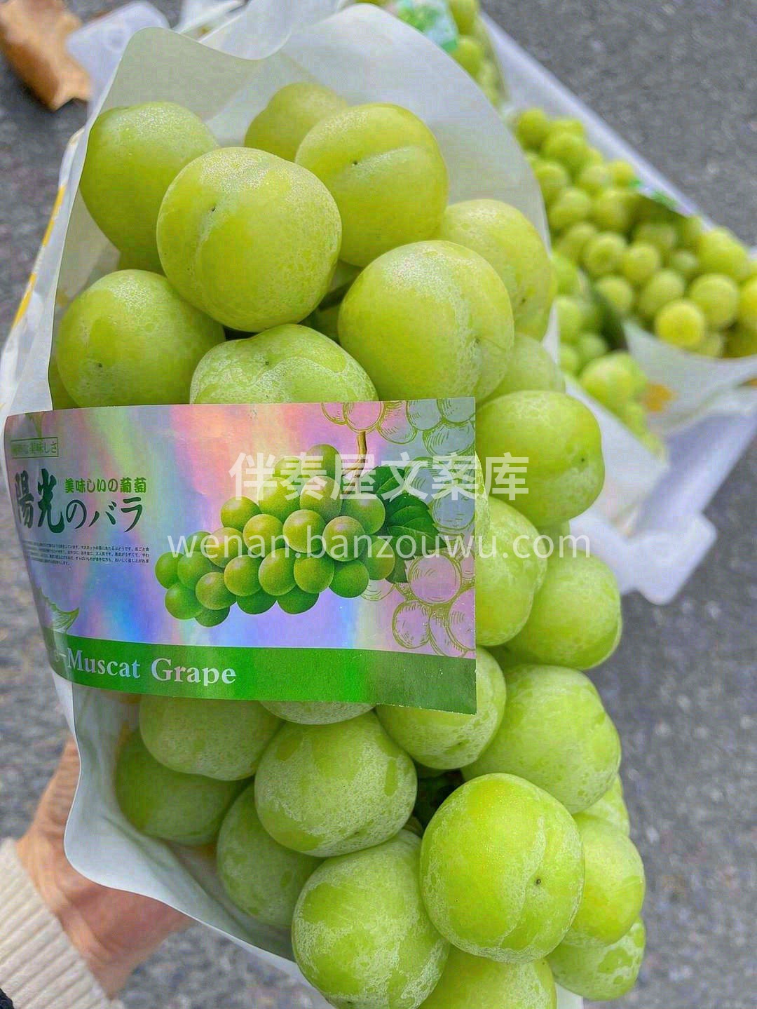 🍇所有写甜的文案～都不配不上它——特级阳 配图2