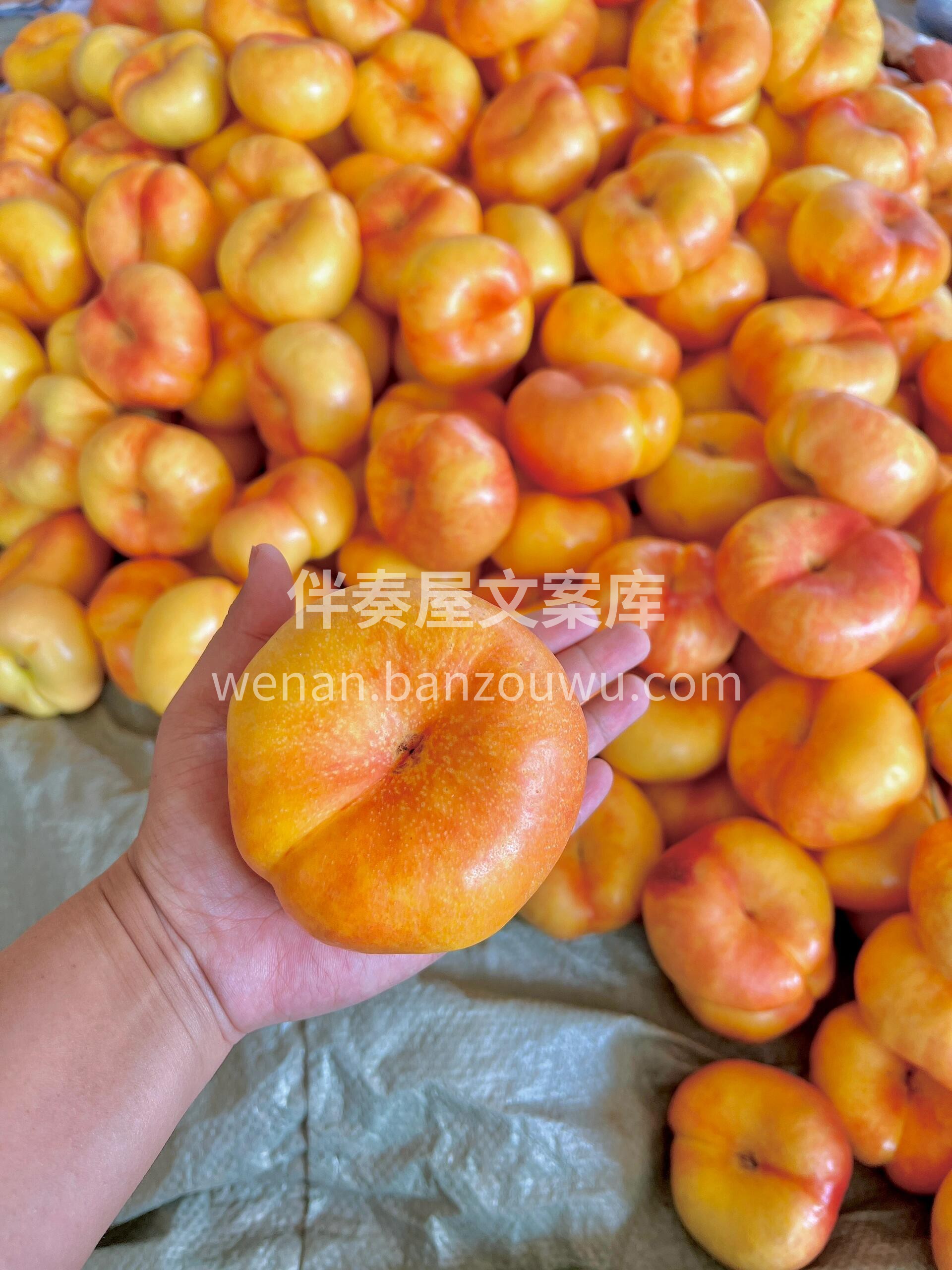 🍑黄油蟠桃上架啦✨ 黄澄澄的外皮和果肉， 配图1