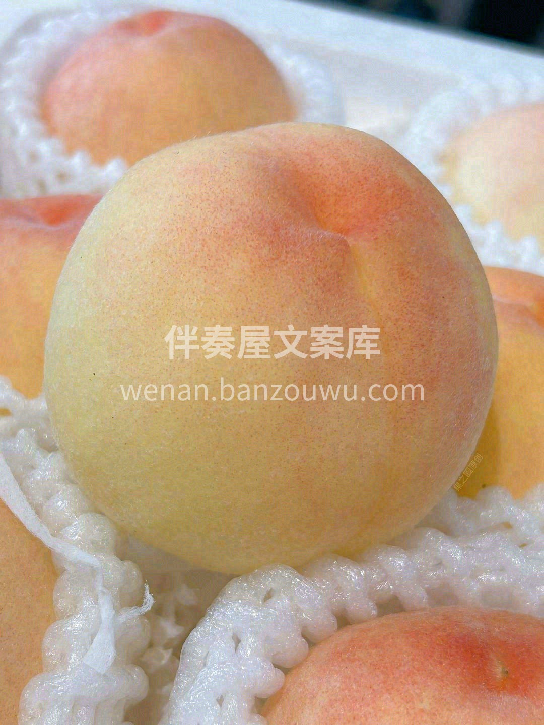 初恋般甜蜜💕，只有属于桃子的香甜多汁🍑  配图2