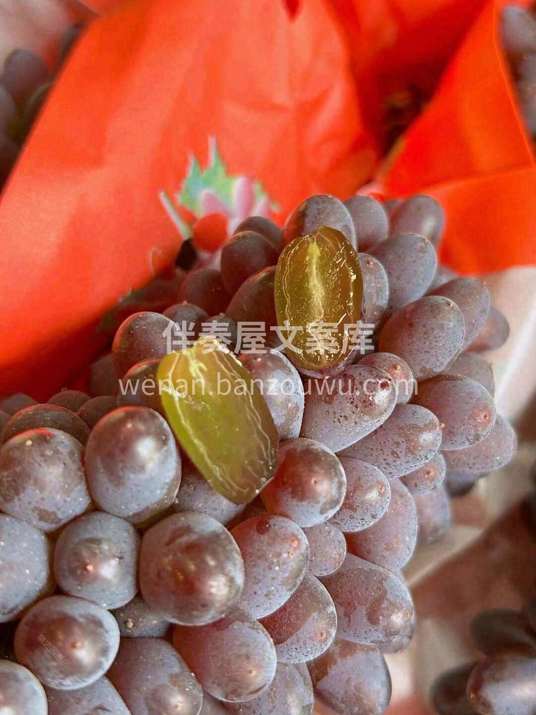 🌈茉莉香葡萄上新✨ 颜值担当😎茉莉香葡萄 配图2