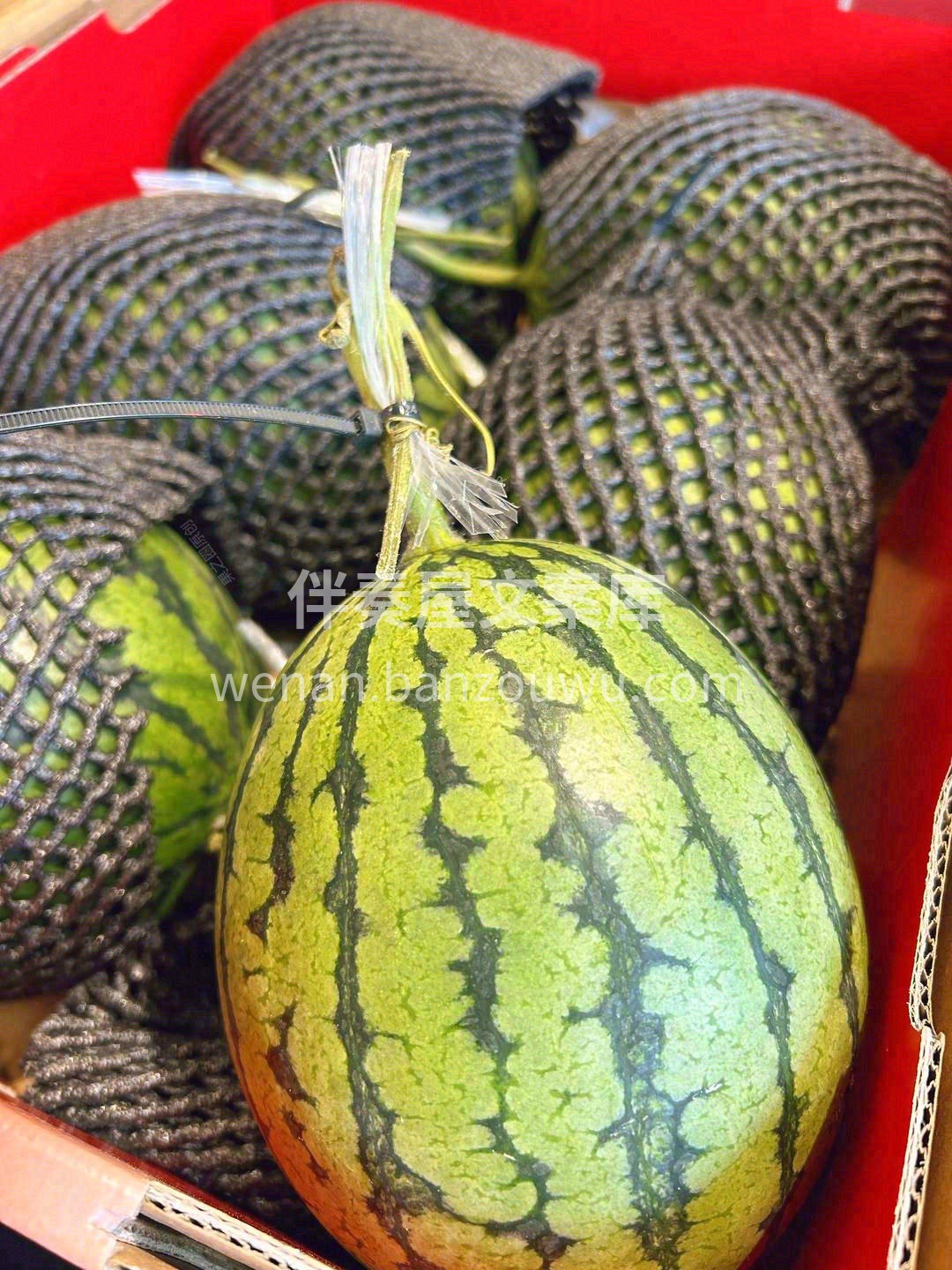 手掰小西瓜🍉 超好吃的西瓜，不是熟透的沙 配图3
