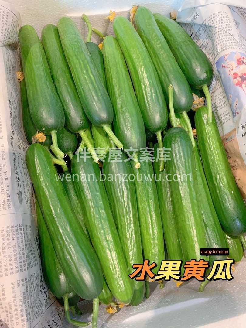 💚即食水果黄瓜，新鲜嘎嘣脆😁 野炊必备小 配图3