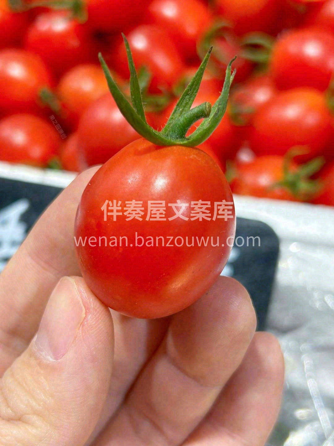 TA的甜美，不光撩拨你的心那么简单哦🥰~ 配图1