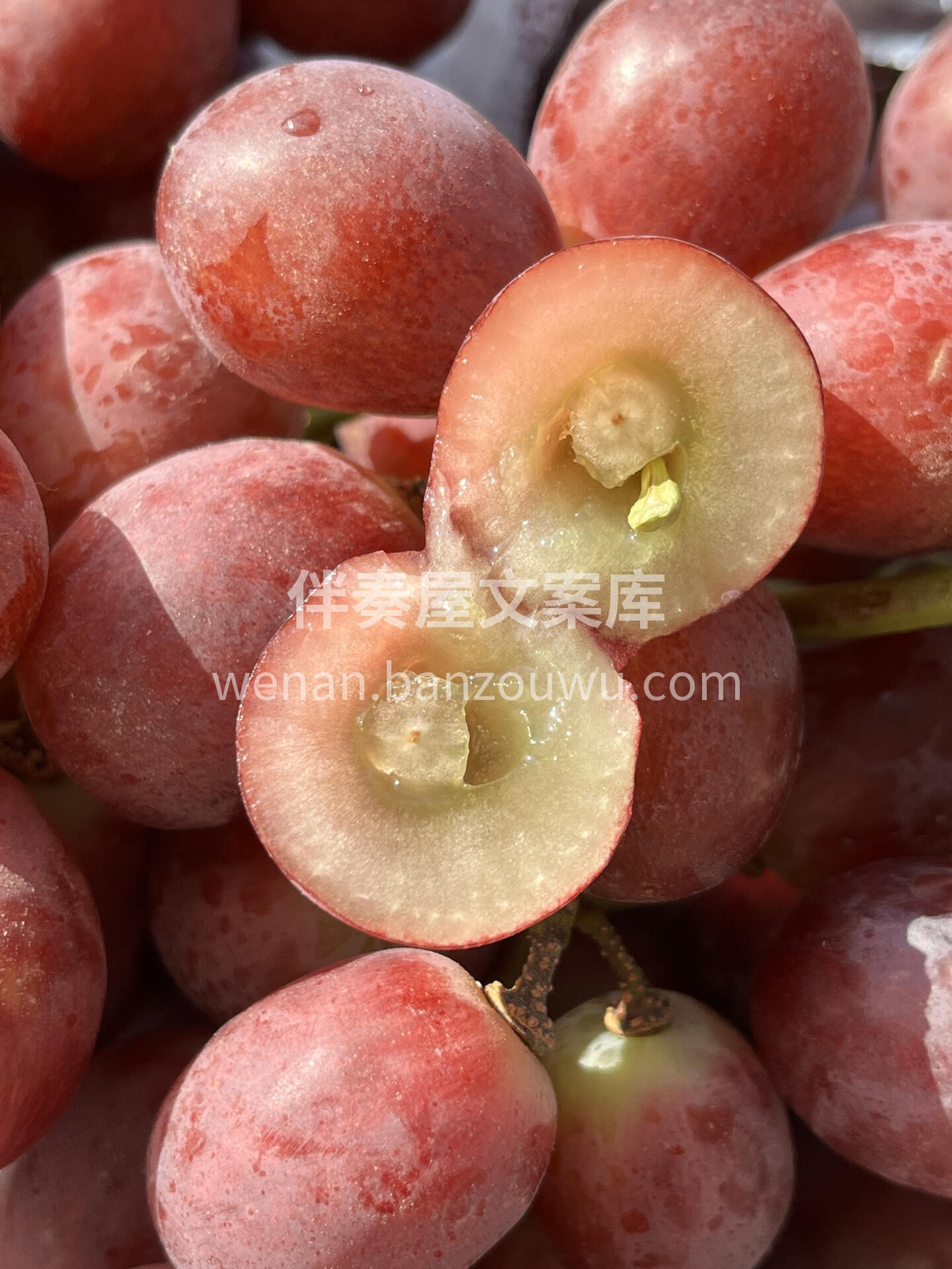 进口大红提上新🍇 品质绝绝子！硬蹦蹦！大 配图2
