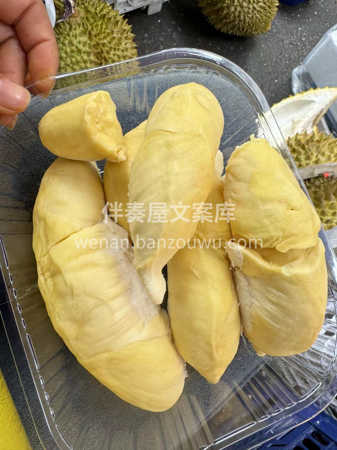 错过等一年，一起拥有8️⃣ 🔝甄选 树上 配图1