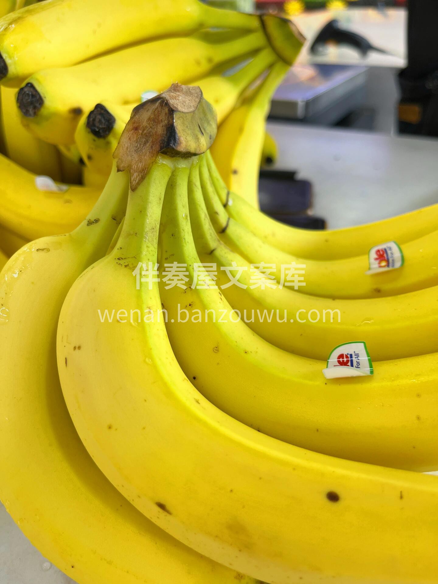 当你不知道该吃什么的时候就选香蕉！ 👉香 配图1
