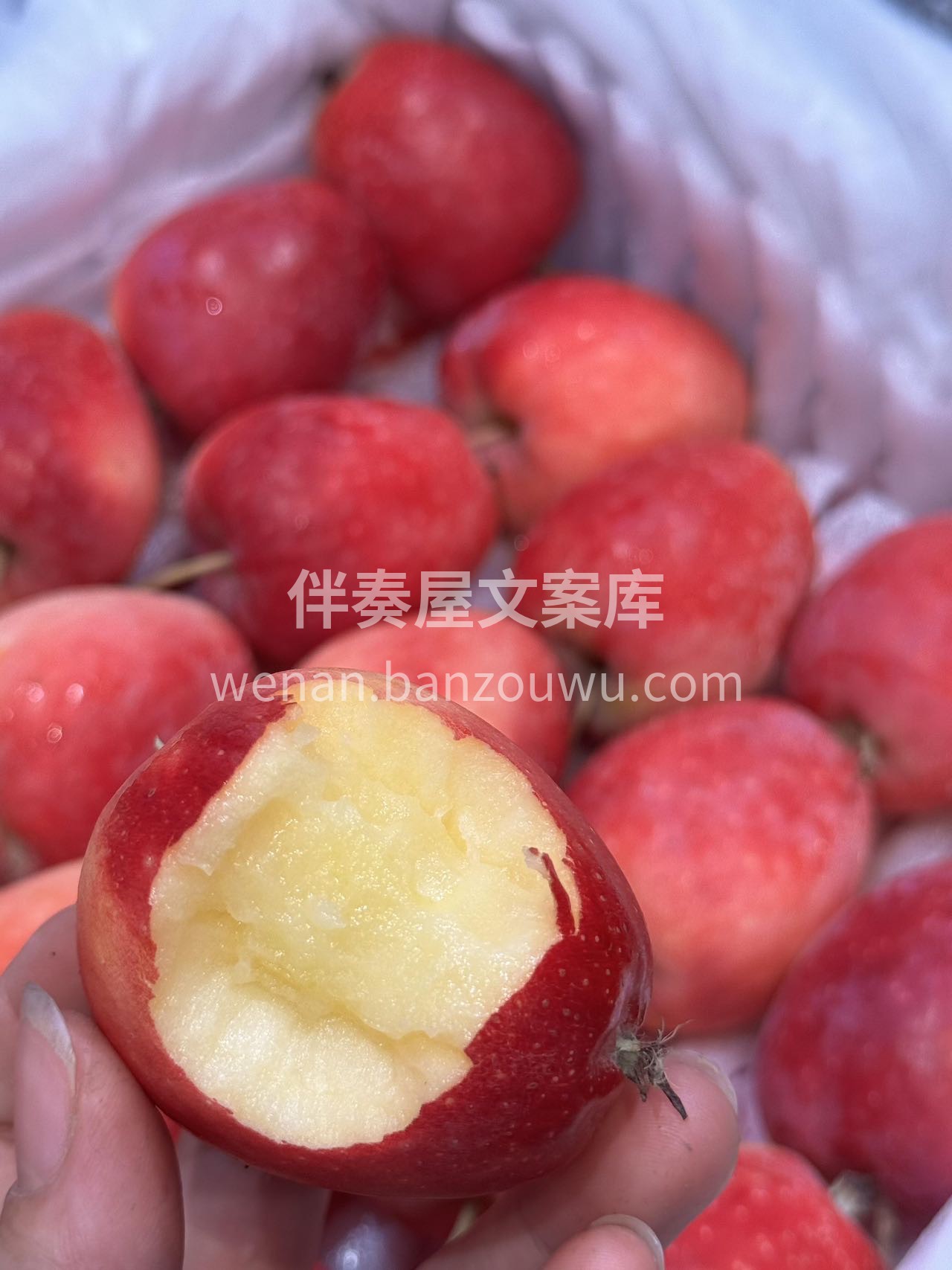 🌿海棠果真正的酸甜可口，YYDS超级喜欢 配图1