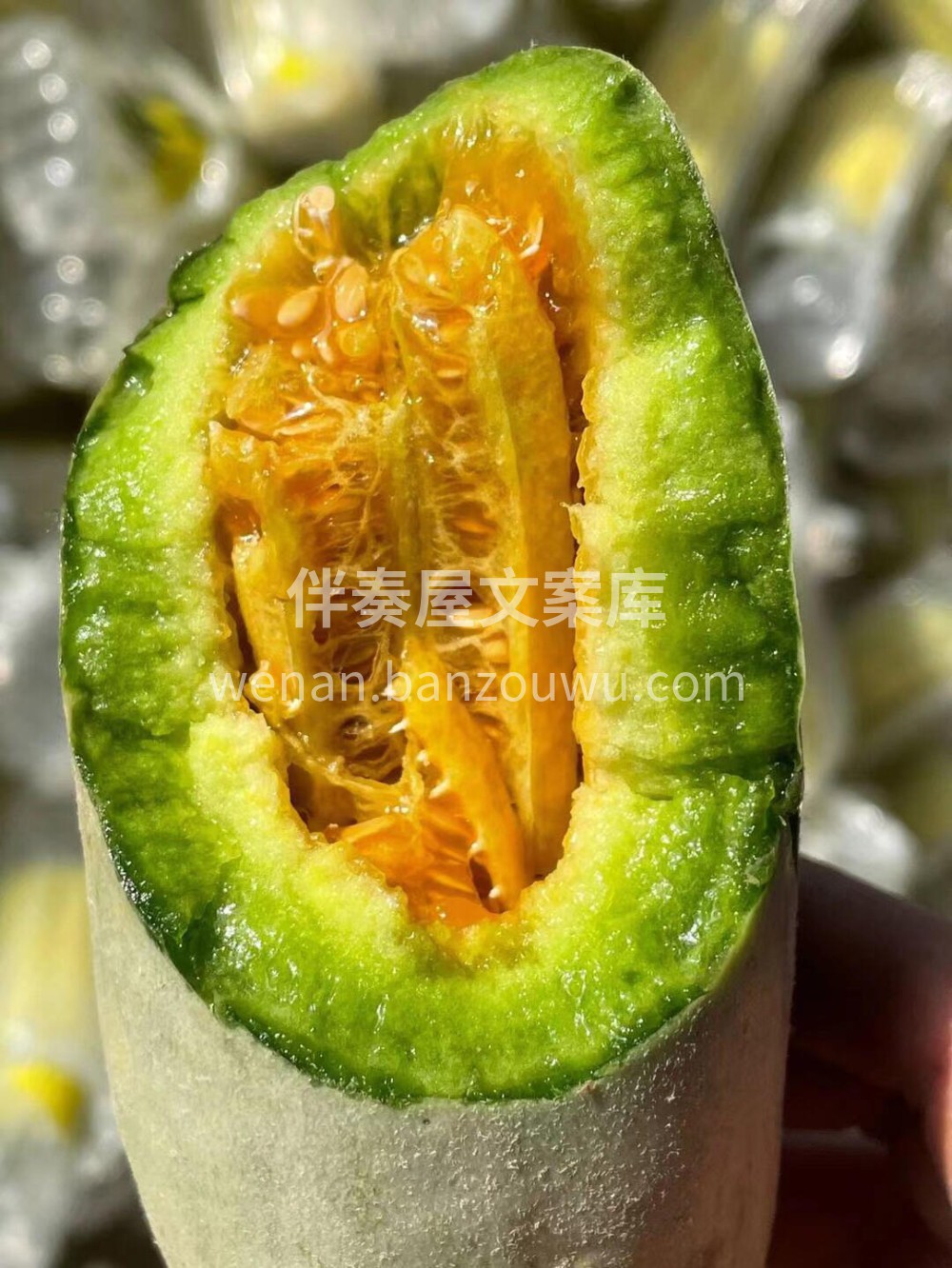 春天到啦🌱头茬头茬羊角蜜瓜已经上市💞 果 配图1