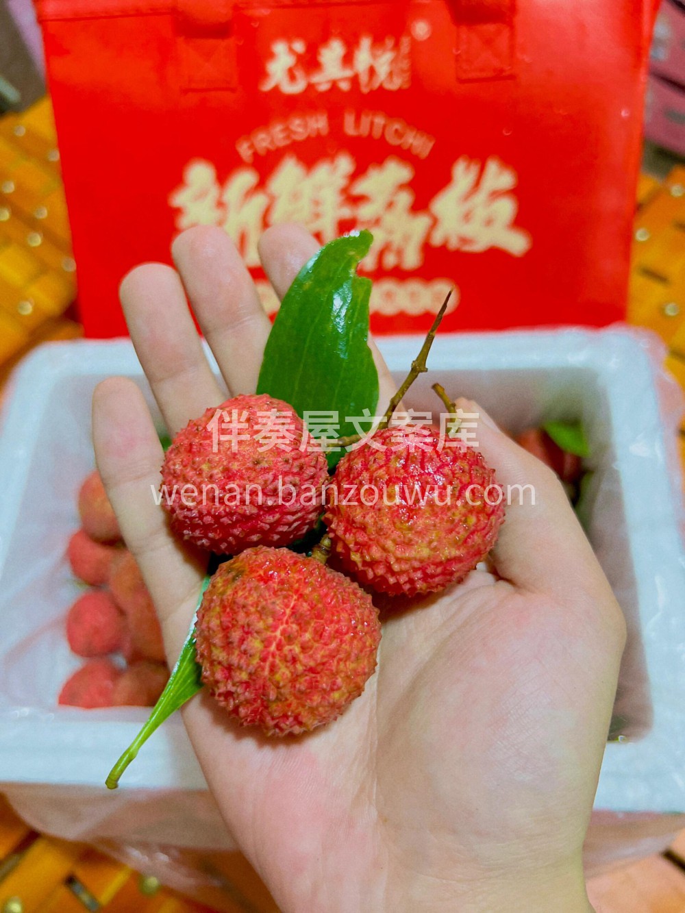 🥰左等右等，桂味的口感终于满意了😍已经非 配图2