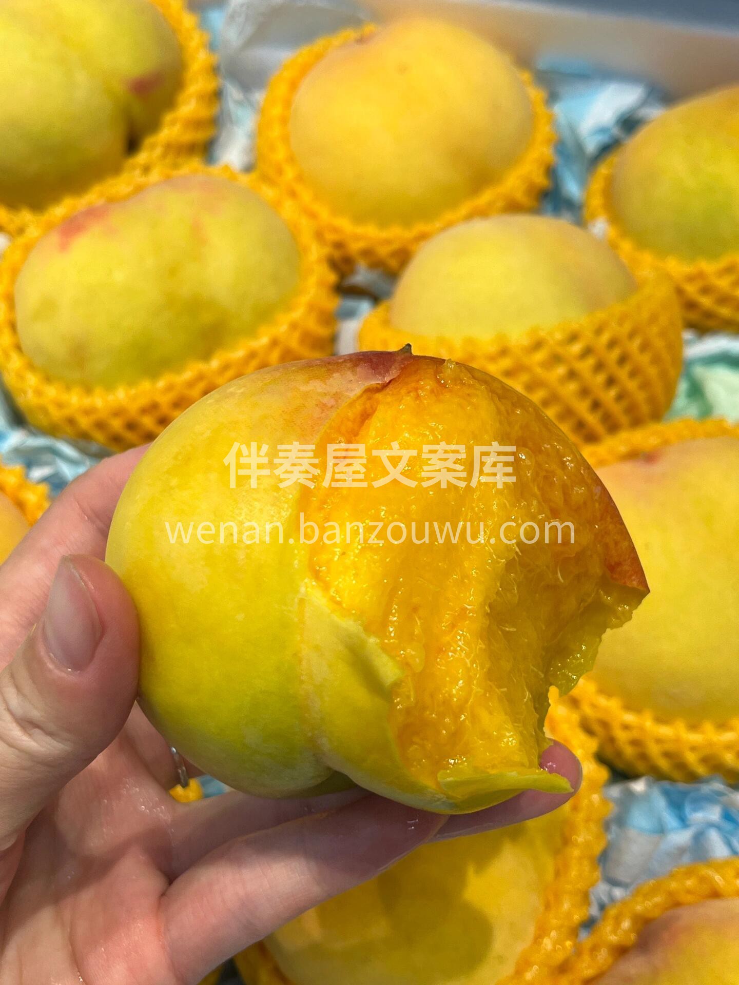 当季热卖款🔥黄桃🍑 一道亮丽的“桃色”风 配图2