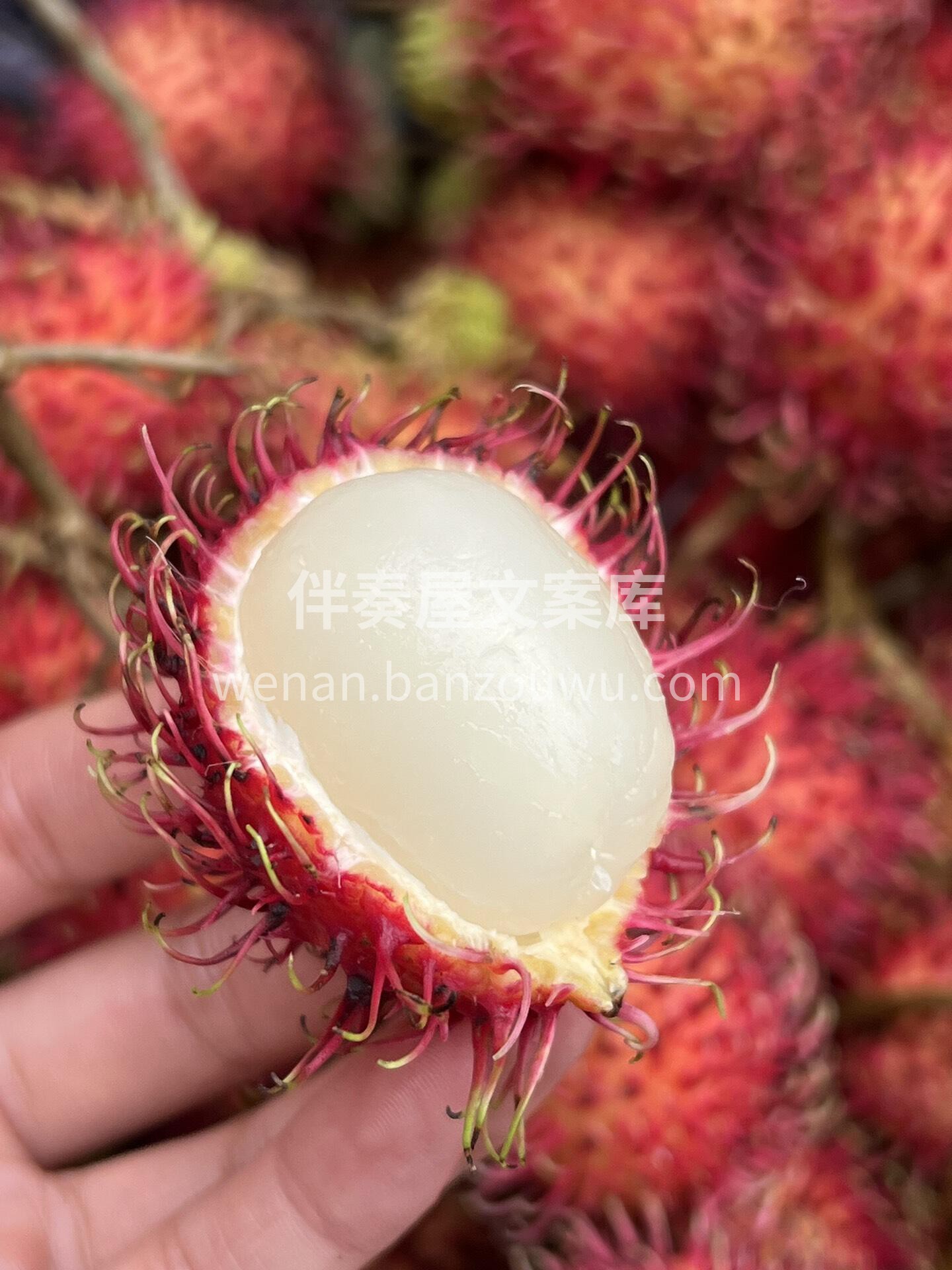 红毛丹❤女神们越吃越美🥰 红彤彤的外表， 配图2