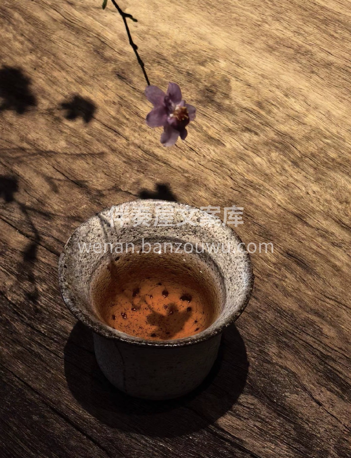 红茶茶语: 温暖随和易相处 世间最温柔的