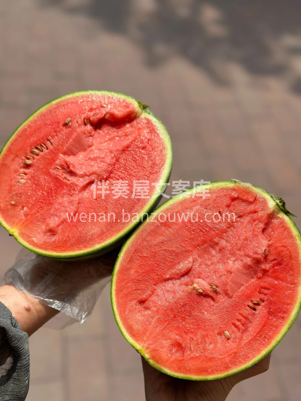 远方的小西瓜🍉是吊瓜‼️ 有充足的光照🌞 配图3