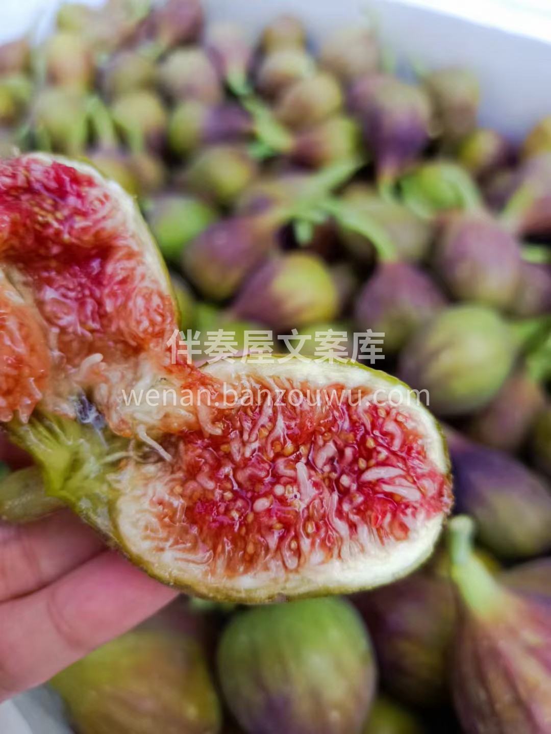 这个无花果真的超级无敌巨甜 什么当下超火 配图3
