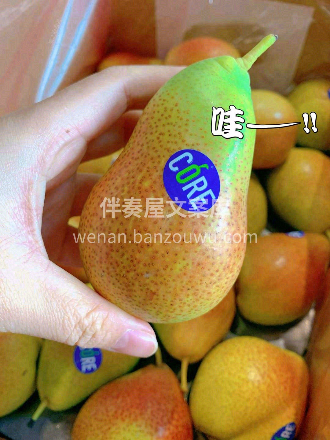 🍐放软后的彩啤梨，像一枚水果爆汁小炸弹💣 配图2