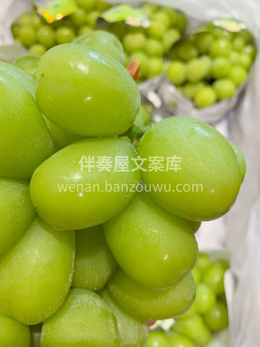 🔸不知道吃什么就吃晴王！ 清新果香+玫瑰 配图1