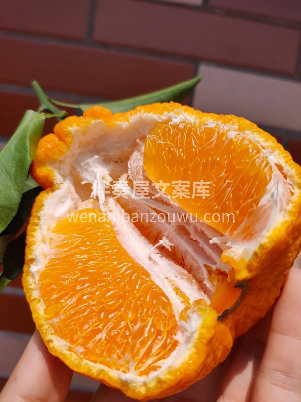 🍊丑橘才不丑呢！ 皮薄易剥，果肉爆汁甜美 配图2