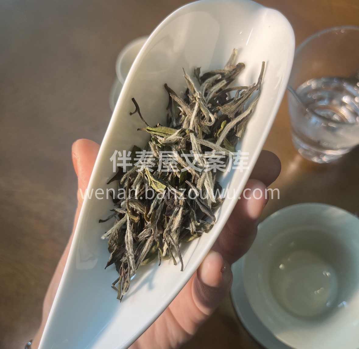 午后放空神器！明前白牡丹来啦 专为上班族 配图2