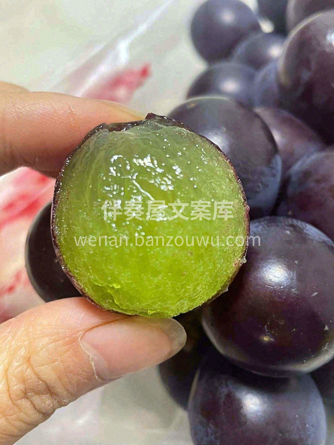 结满了色泽诱人的“黑宝石”粒粒个头均匀🖤 配图1