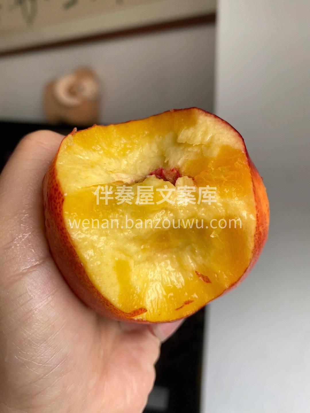 🍁红艳艳的油桃带着太阳晒出的小雀斑！ 只 配图1