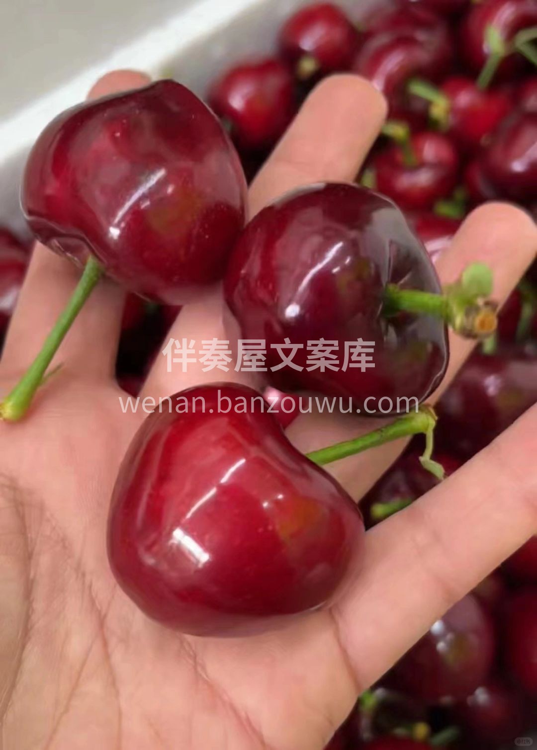 🥰爱吃水果的人运气都不会差 美早大樱桃‼ 配图1