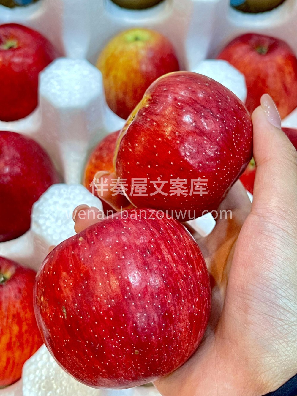邵通苹果🍎💥脆甜小炸弹！一口爆汁💦！冰糖 配图2