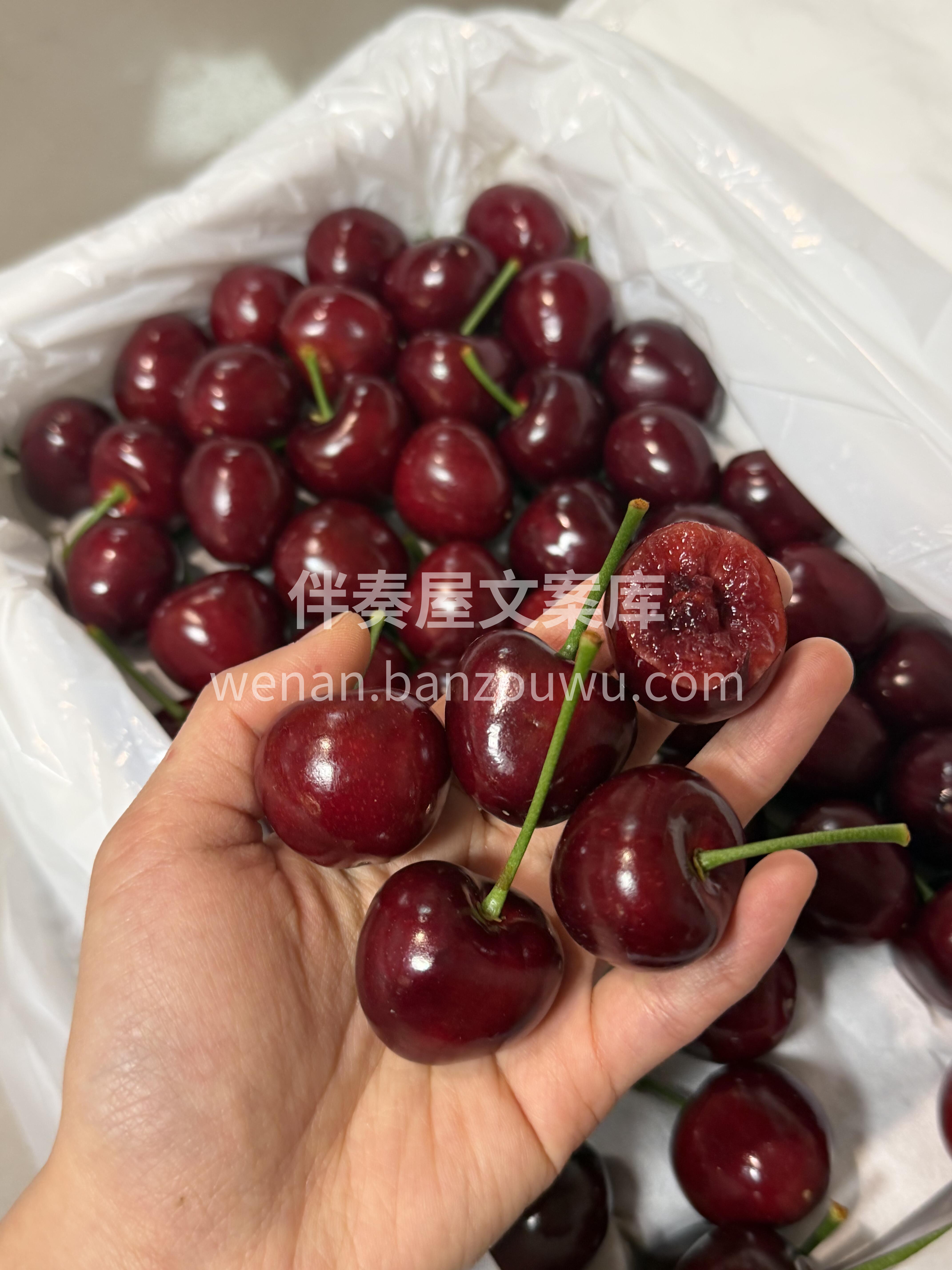 美早大樱桃🍒🍒 爆款美早·补货啦🍒 新鲜 配图1