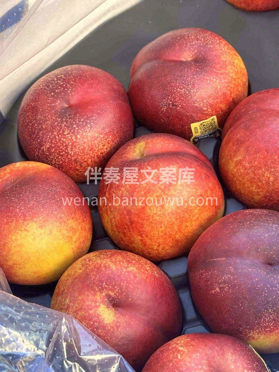 超大的果子🍑，鲜嫩多汁🌊 每咬一口，都再 配图3